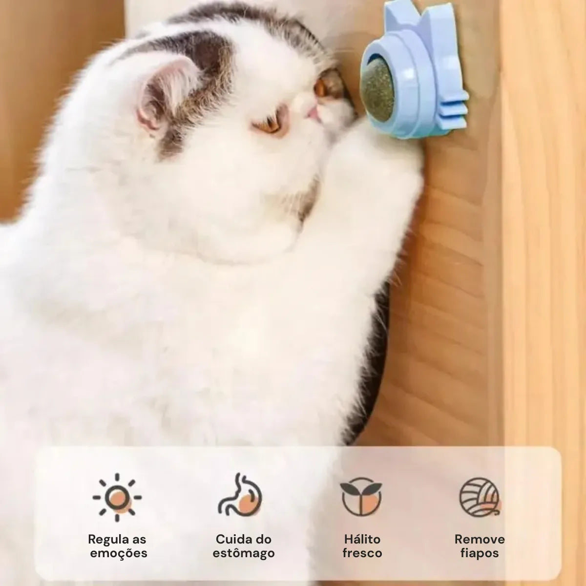 Bola de Catnip para Gatos Brinquedo Divertido Gatz