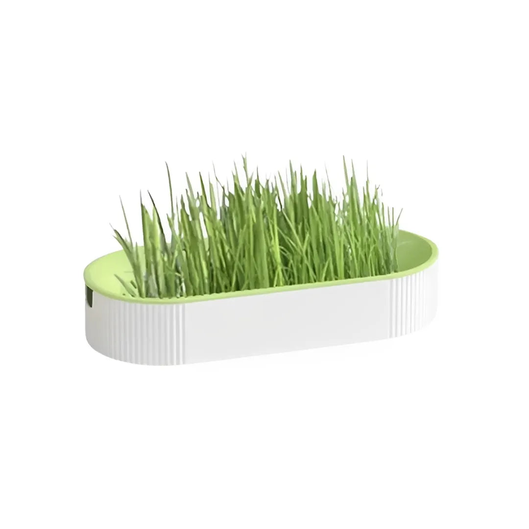 Caixa de Grama para Gatos Hidropônica Gatz