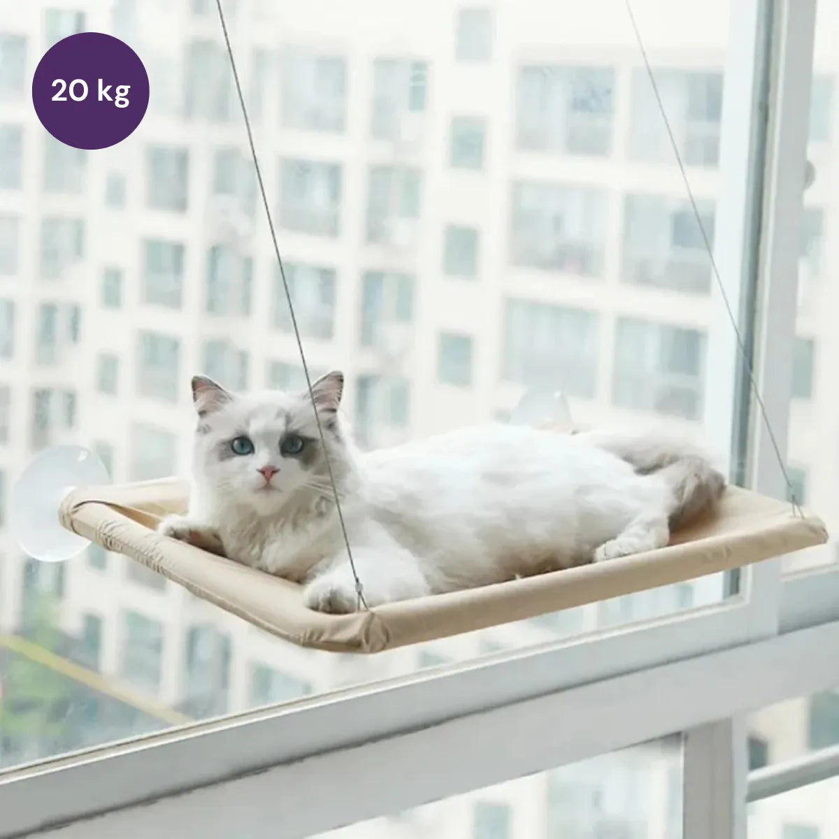 Cama Rede para Gatos Suspensa Gatz