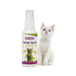 Catnip Spray para Gatos Estímulo e Diversão Gatz
