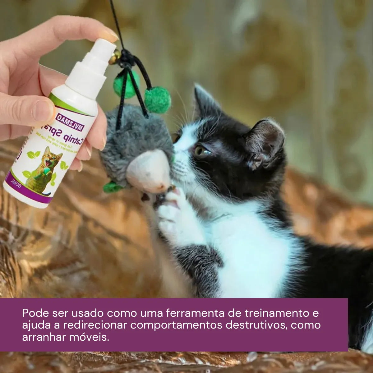 Catnip Spray para Gatos Estímulo e Diversão Gatz