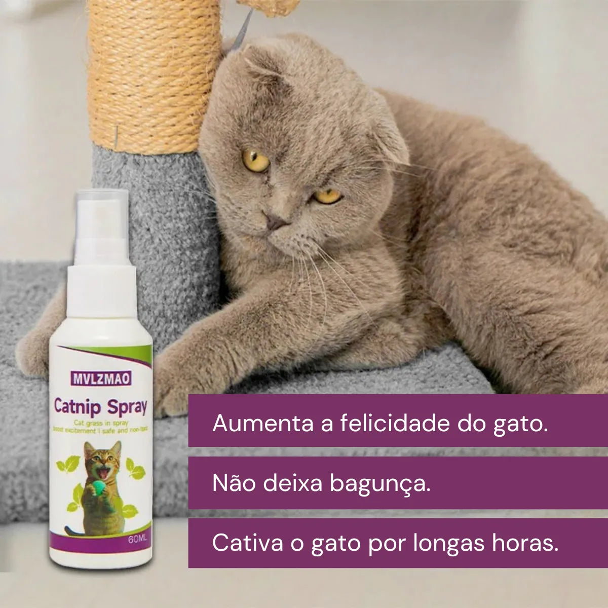 Catnip Spray para Gatos Estímulo e Diversão Gatz