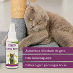 Catnip Spray para Gatos Estímulo e Diversão Gatz