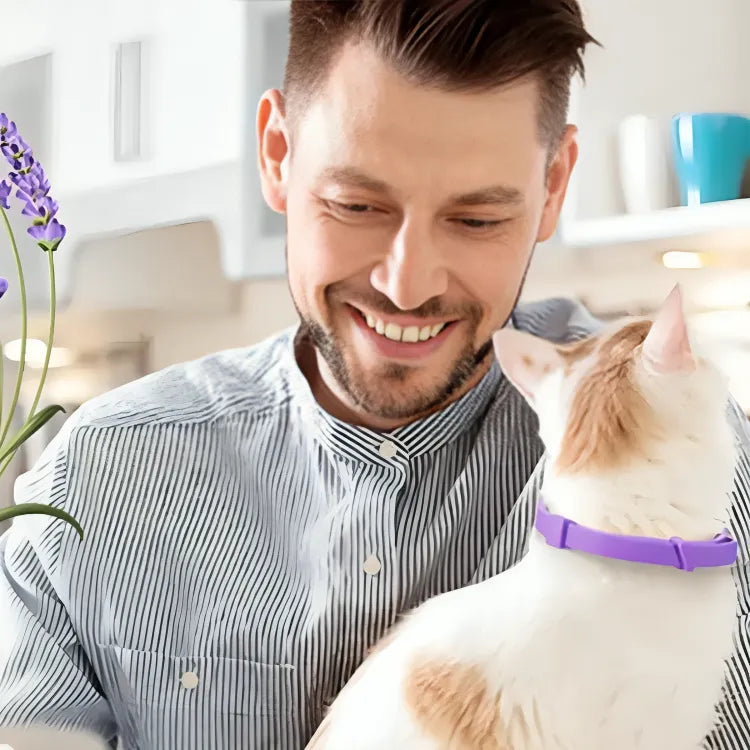 Coleira Calmante para Gatos Ajustável com Feromônio Gatz