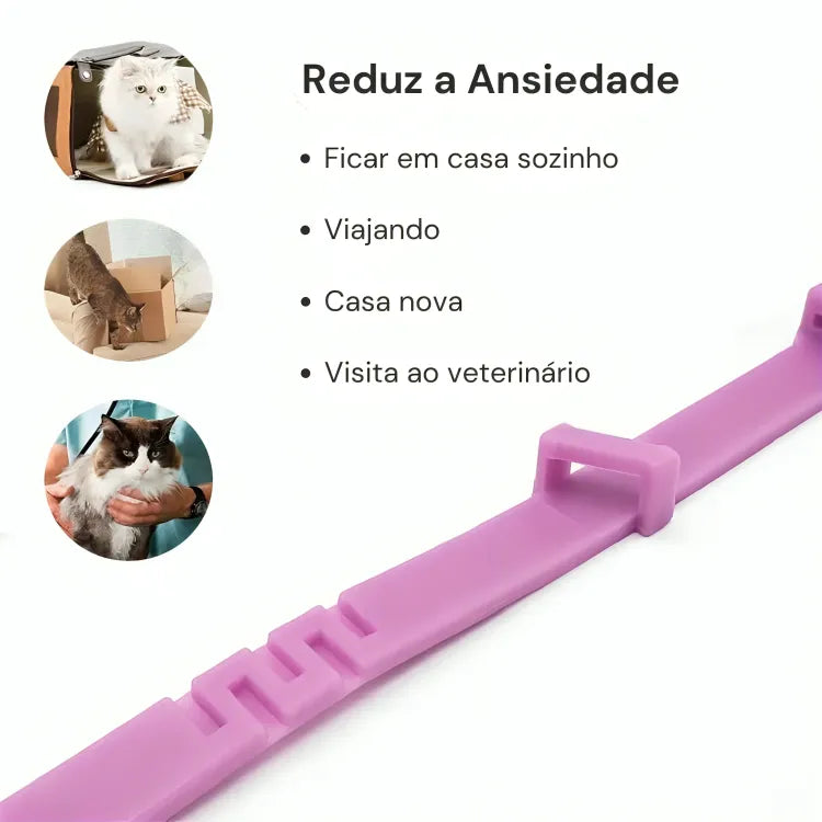 Coleira Calmante para Gatos Ajustável com Feromônio Gatz