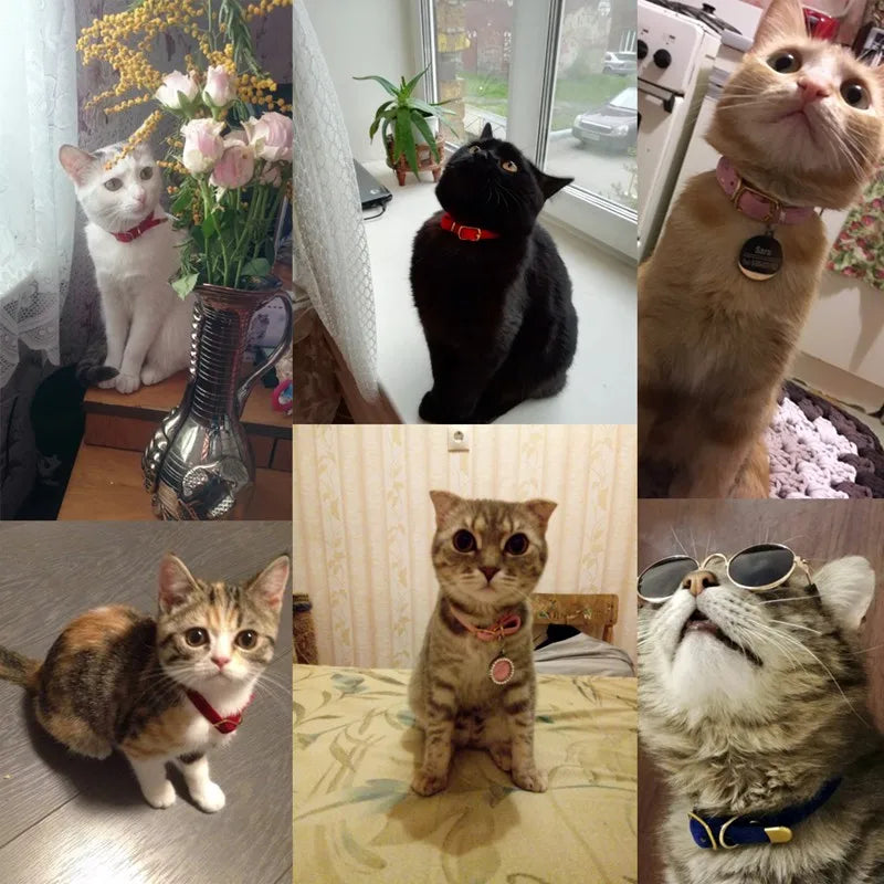 Coleira para Gatos Ajustável Gatz