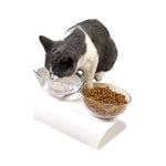 Comedouro para Gatos Duplo Elevado Ergonômico Gatz