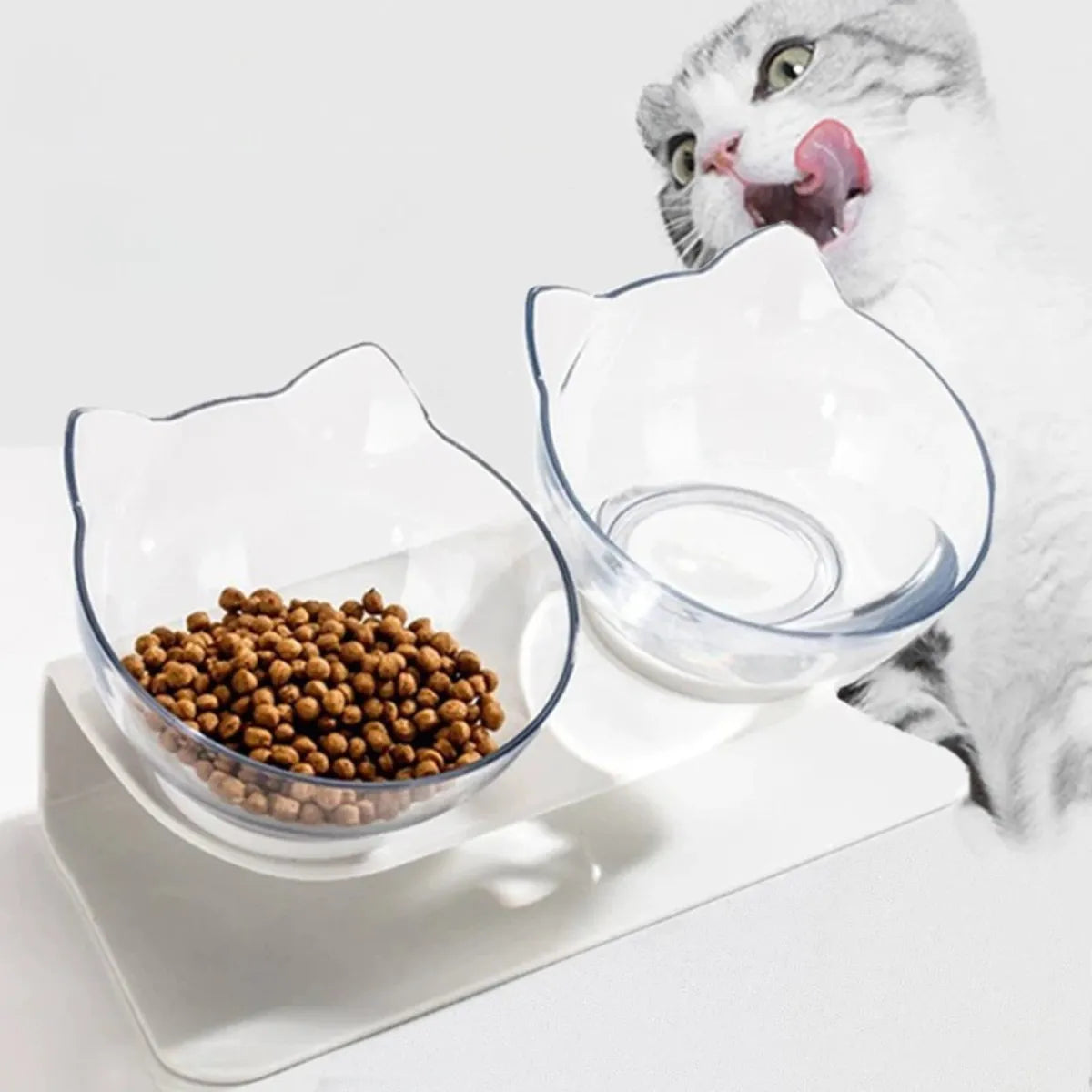 Comedouro para Gatos Duplo Elevado Ergonômico Gatz