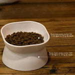 Comedouro para Gatos Elevado Ergonômico com Inclinação Gatz