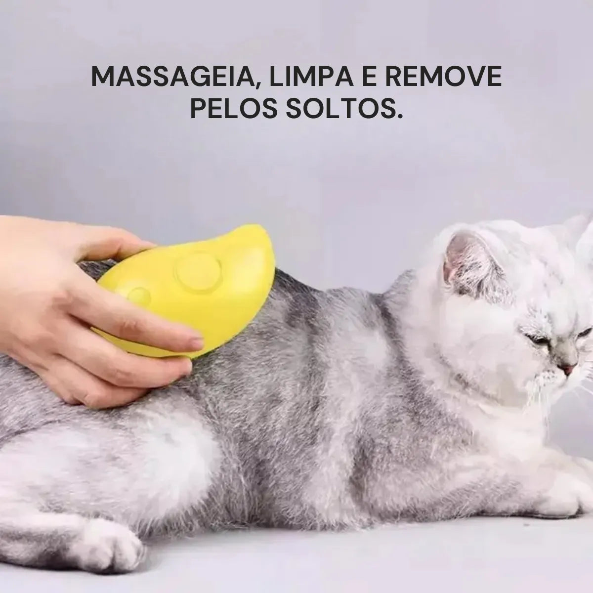 Escova de Vapor para Gatos Elétrica 3 em 1 Gatz