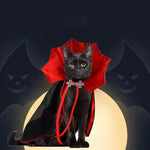 Fantasia para Gatos Vampiro Halloween Gatz
