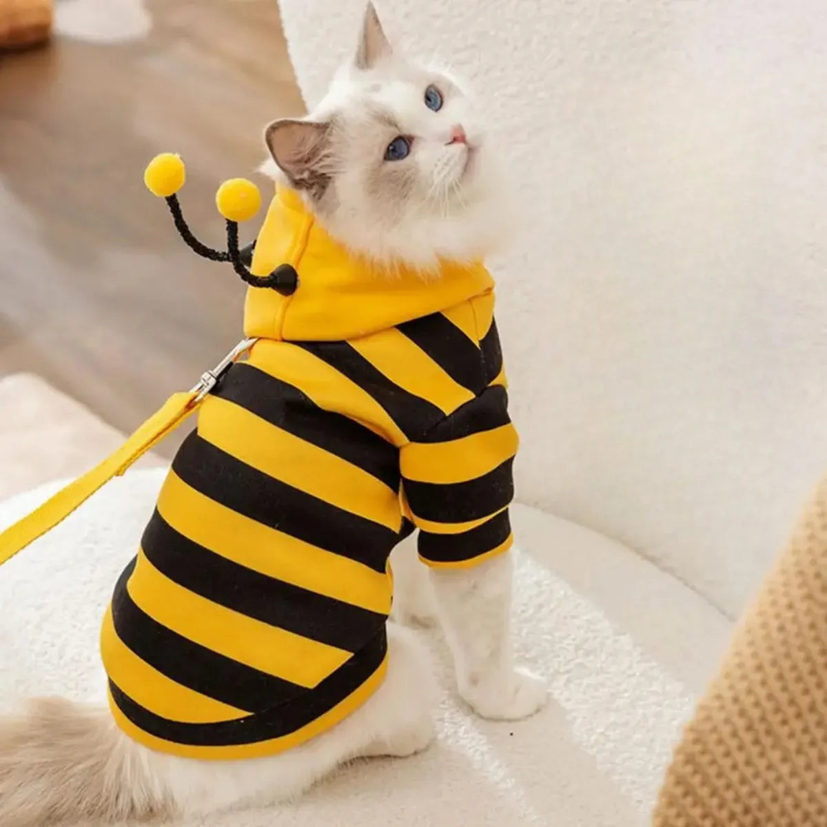 Roupa para Gatos Traje de Abelha Inverno Gatz