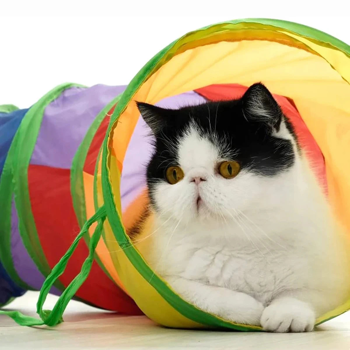 Túnel para Gatos Dobrável Colorido Gatz