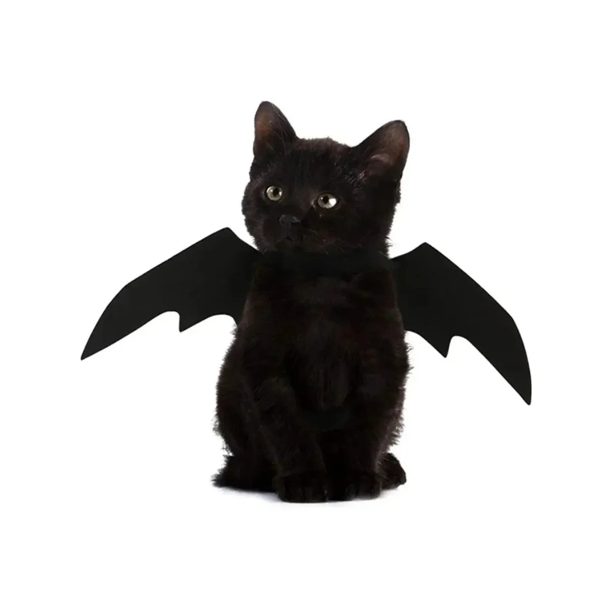 Fantasia para Gatos Asa de Morcego Halloween Gatz