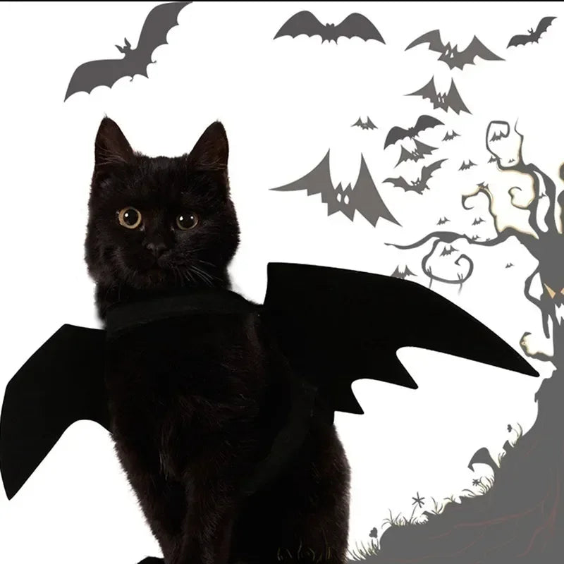 Fantasia para Gatos Asa de Morcego Halloween Gatz