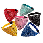 Bandana para Gatos Ajustável Gatz