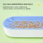 Caixa de Grama para Gatos Hidropônica Gatz
