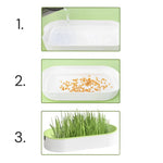 Caixa de Grama para Gatos Hidropônica Gatz