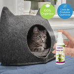 Catnip Spray para Gatos Estímulo e Diversão Gatz