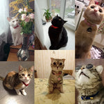 Coleira para Gatos Ajustável Gatz
