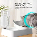 Comedouro para Gatos Duplo Ergonômico com Refil Gatz