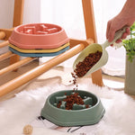 Comedouro para Gatos Lento Interativo Gatz