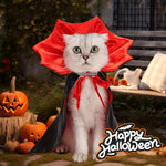 Fantasia para Gatos Vampiro Halloween Gatz