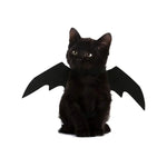 Fantasia para Gatos Asa de Morcego Halloween Gatz