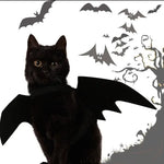 Fantasia para Gatos Asa de Morcego Halloween Gatz